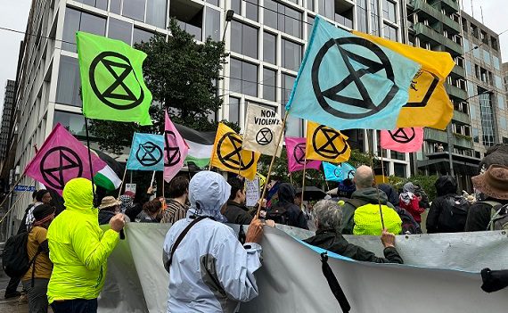 Eco-reati: basta bugie!