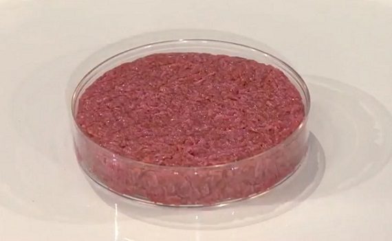 La carne sintetica fa male e inquina di più!