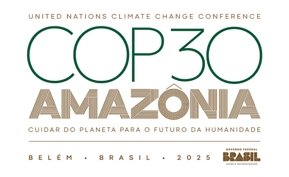 La foresta amazzonica devastata per la Conferenza sul Clima! Basta eco-follie!