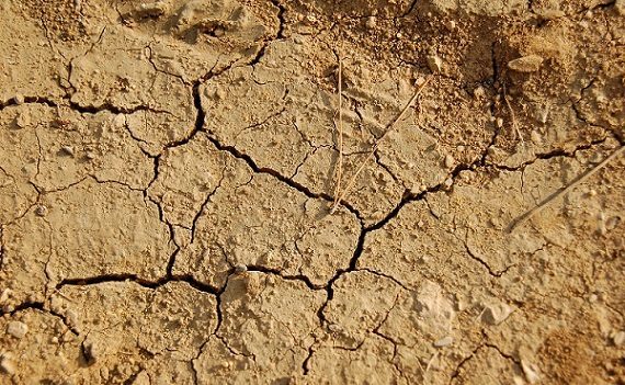 Gli scienziati scettici continuano a crescere