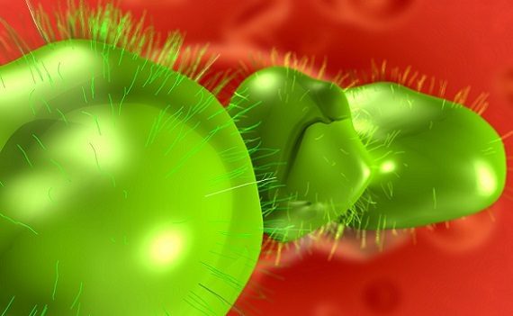 Un virus pericolosissimo