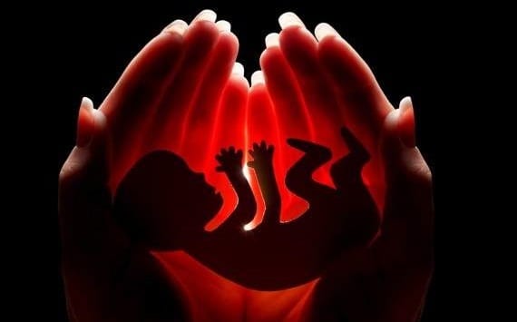 Vogliono uccidere un innocente!