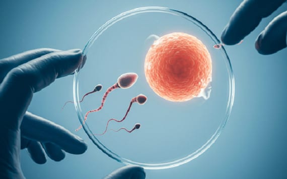 Fecondazione assistita con l’AI: nato il primo bambino. Si sta oltrepassando il limite!