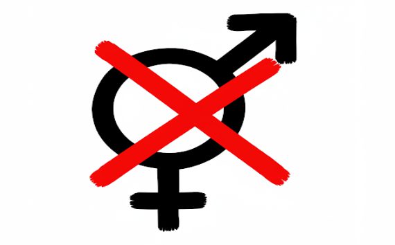 Rimini censura la verità: negata l'affissione dei manifesti contro l'ideologia gender!